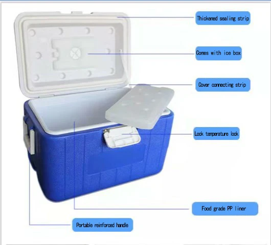 factory wholesale 30L 2-8 degree plastic foam cooler box and temperature display insulated rotomolded cooler