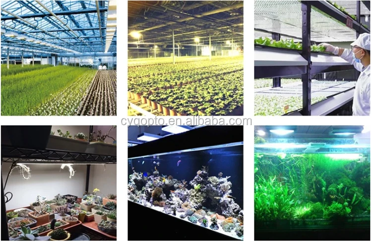 Super Luminosity Full Spectrum 3030 Package Diode or 2835 SMD LED Chips 380-840nm for Vegetable Plant Grow light
