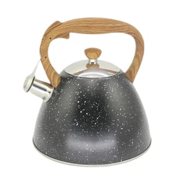 Kitchenware new style tea pot stainless steel coffee  kettle set