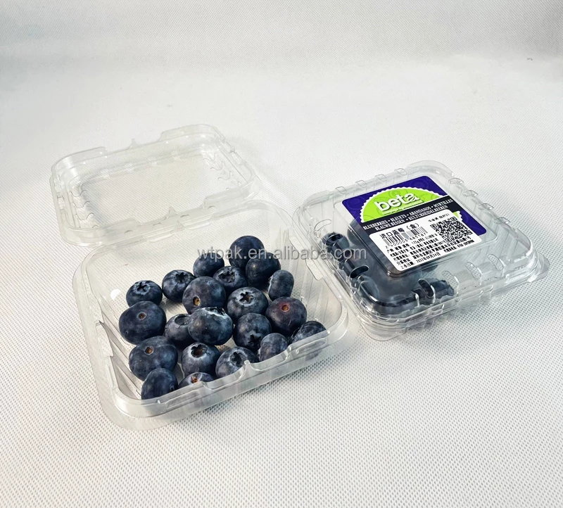 4.4oz 125g High-quality Recyclable Fruit Clamshell Packaging Blackberry Blueberry Punnet