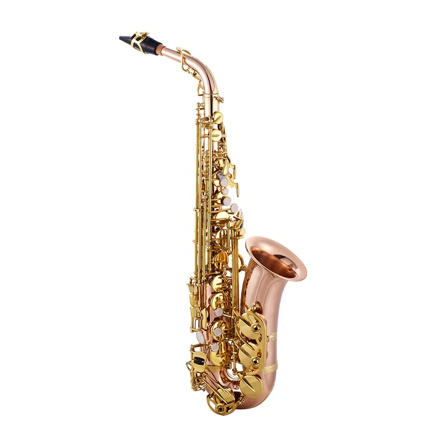 SEASOUND OEM Professional Phosphorus Copper Alto Saxophone JYAS102PC