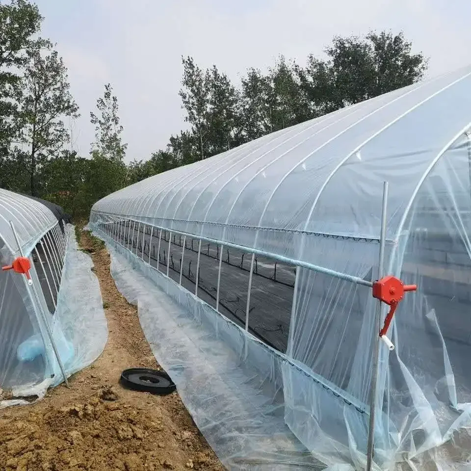 Низкая цена горячая Распродажа Тепличный пластиковый материал высокий туннель сельское хозяйство теплица для продажи