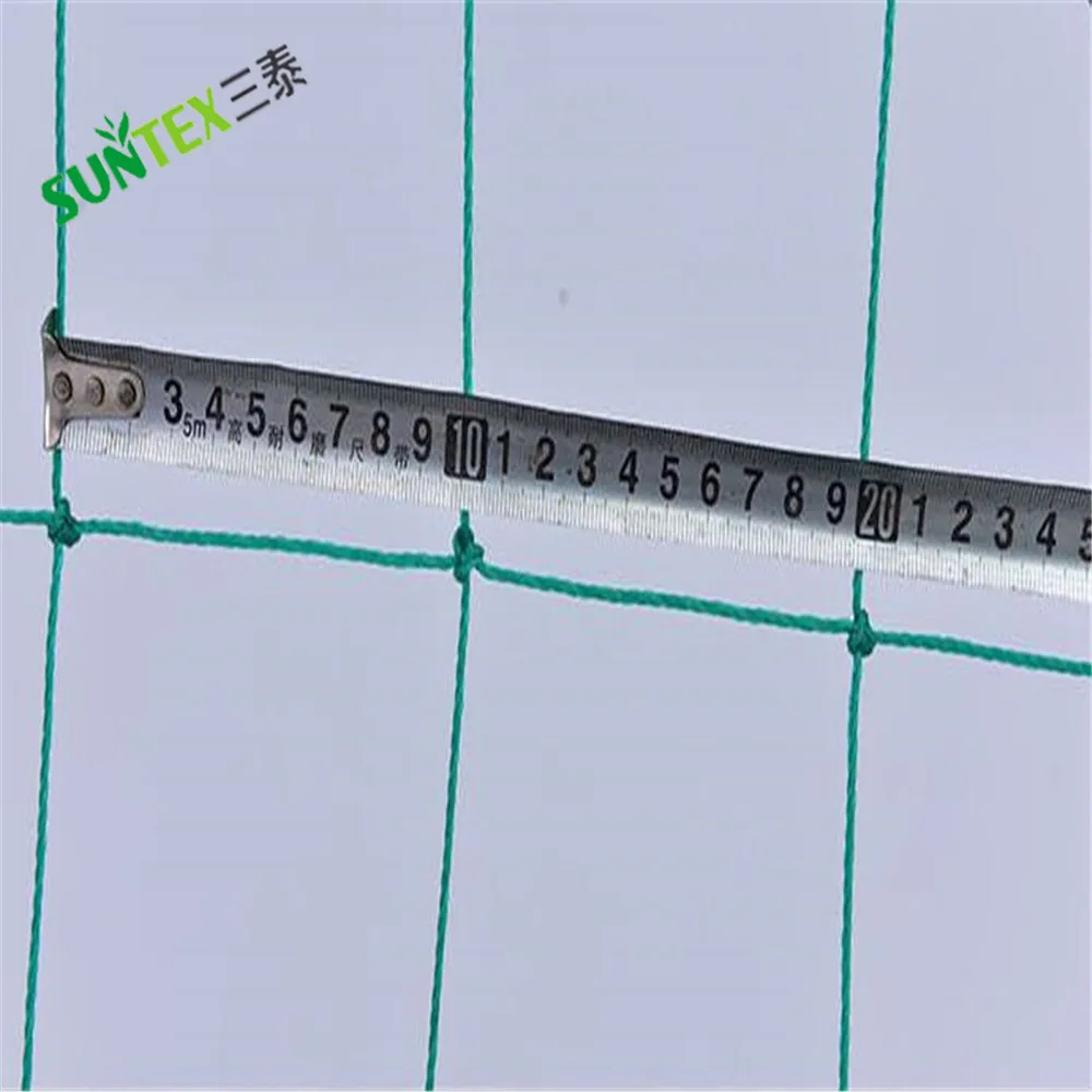 high tensile strength PE 10*10 cm tomato support mesh,beans cucumber climbing trellis net plant support netting
