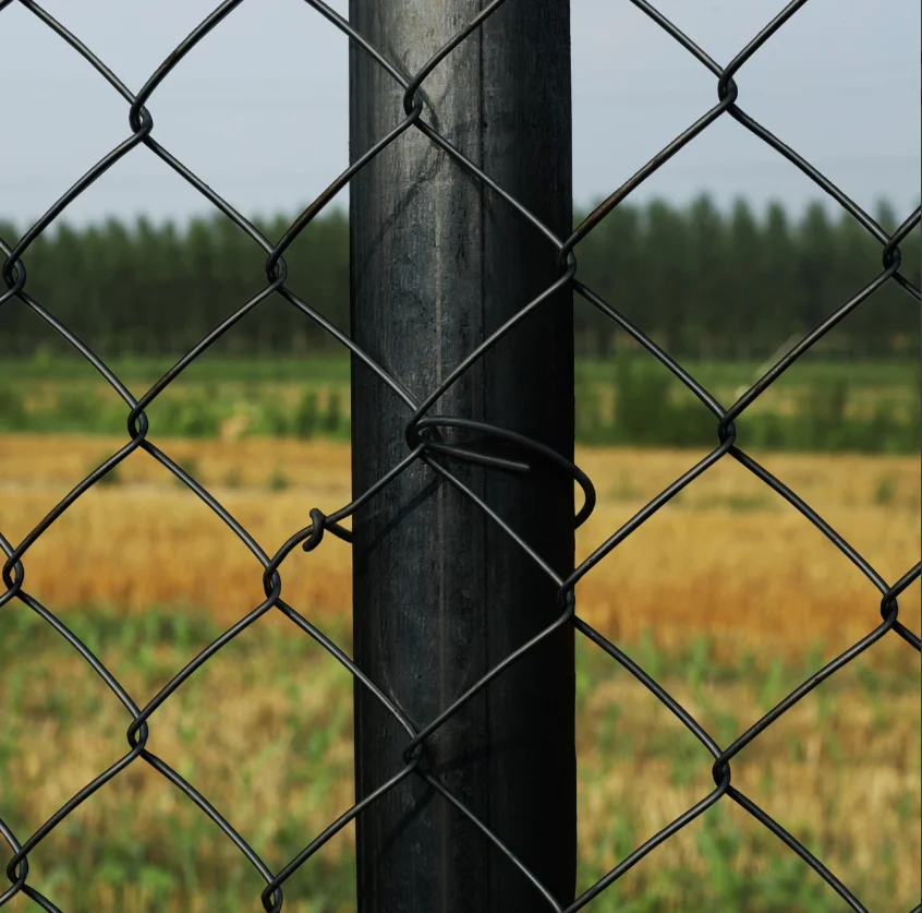 low price 8 foot pvc diamond wire mesh garden fence