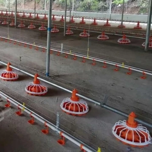 Broiler Кормление питьевой Птицы автоматическая система