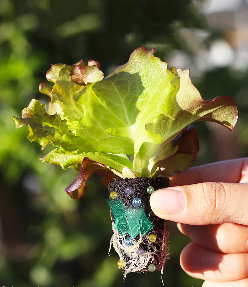 Hot Sale Growth Sponges Hydroponic Growing Germination Kits Plants Seedling Starter Grow Sponges