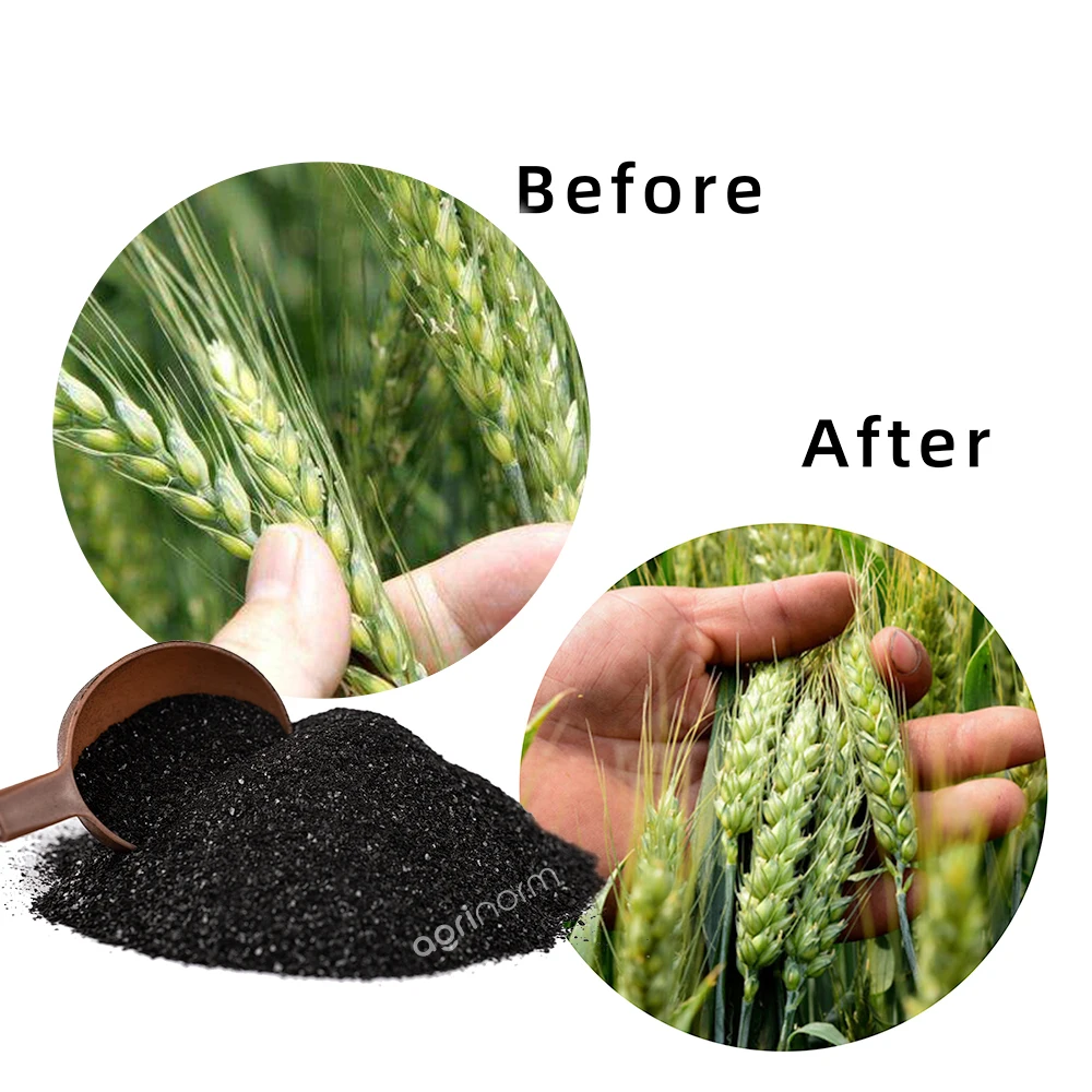 Humic acid fertilizer mineral source potassium fulvic acid vegetable planting fertilizer organic grain