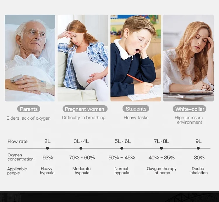 European Union Warehouse Free Shipping DE-2SW-E 2-9L Oxygen Concentrator, Fast Delivery Portable Dropshipping Oxygen Machine