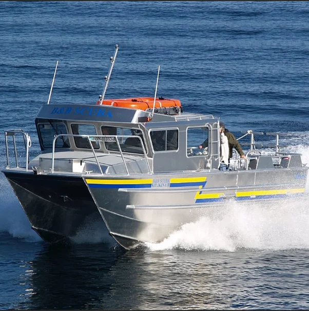 Алюминиевая Коммерческая многофункциональная лодка для дайвинга 33 ФУТА 10 м с сертификатом се