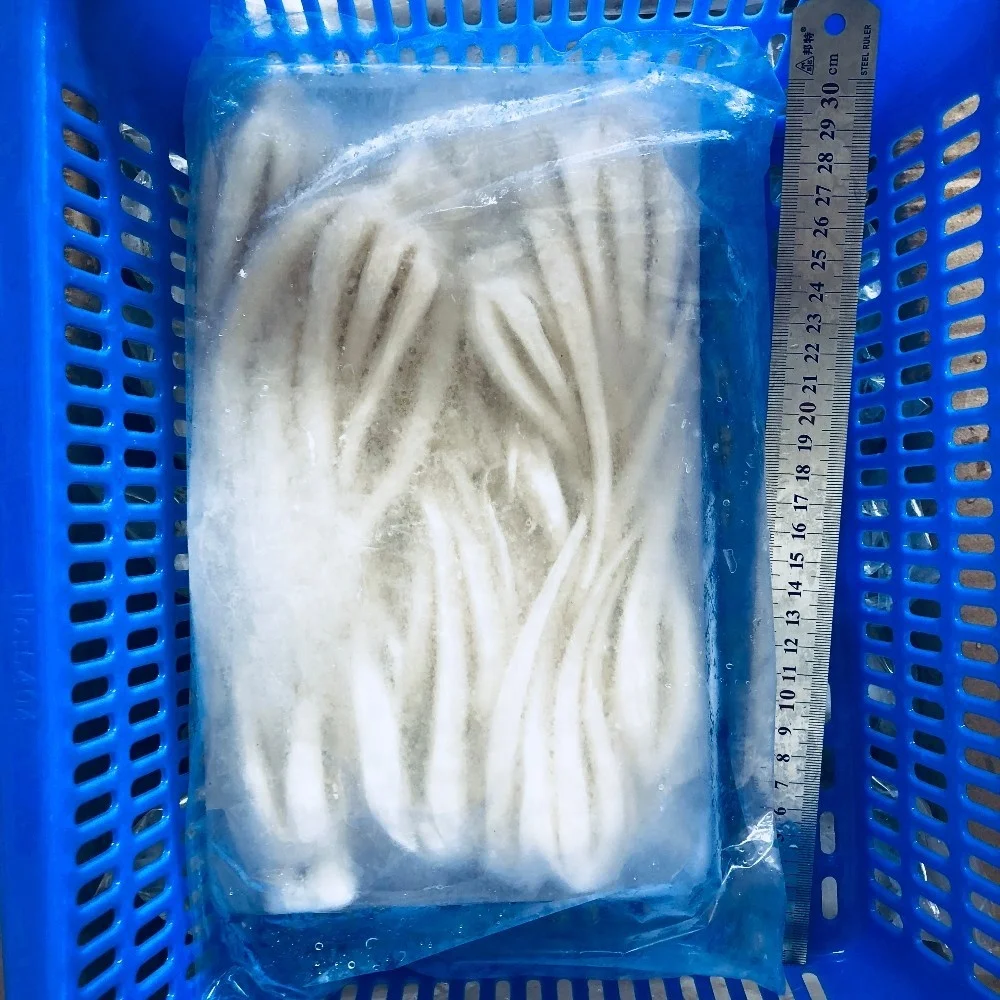 Frozen giant indian ocean squid head tentacles skinless