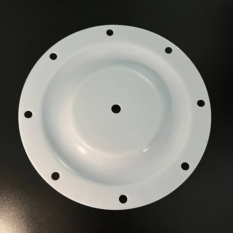 Manufacturer Pneumatic Pump Sealing Spare Parts PTFE Diaphragm for Skylink Air Operated Pump