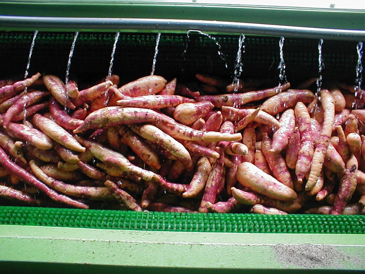 Japanese Sweet Potatoes Aromatic Taste Bulk Sake Set For Drinking