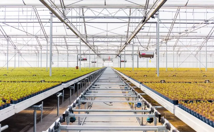 High-quality Full-automatic tidal seedbed with movable system rolling table for greenhouse