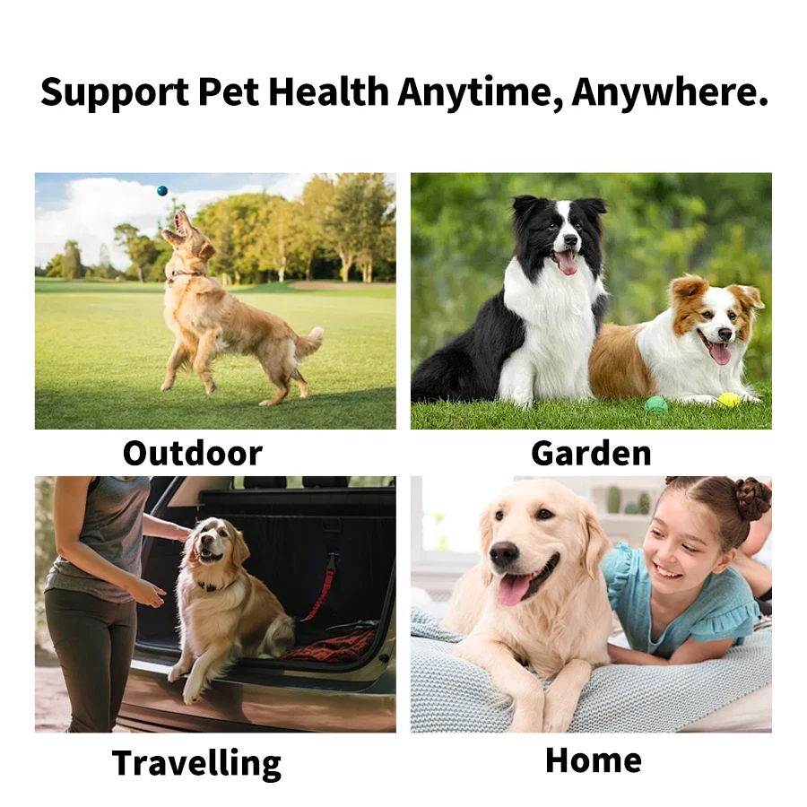 Private Label Aroma Grooming Accessory Sustainable Pet Cleaning Gloves and Eye Wipes for Small Dogs and Cats