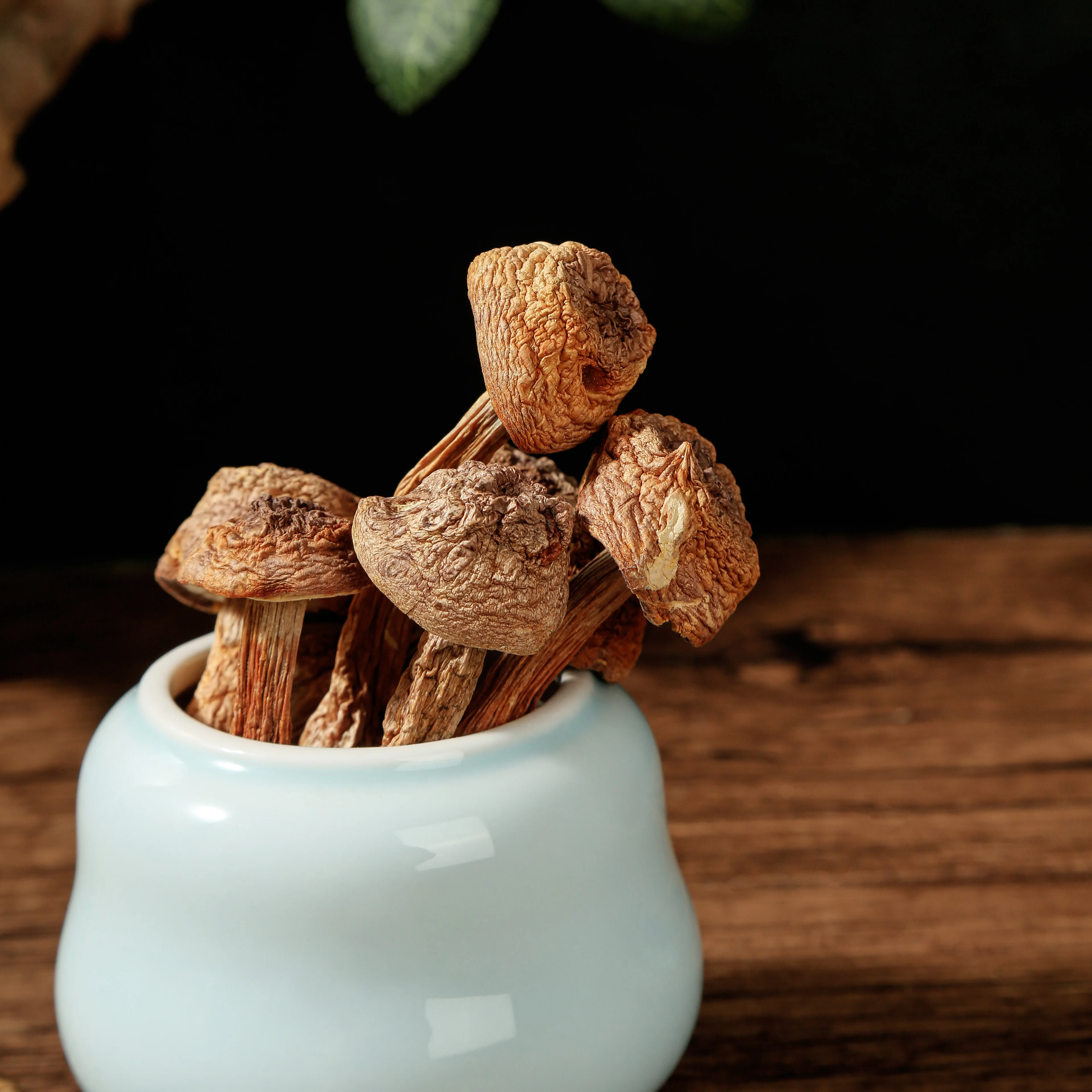 ConcubineMushroom agaricus blazei Use soup and eat with mushrooms