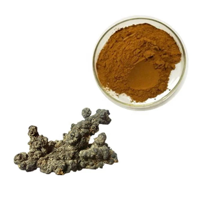 Grifola Umbellate Extract