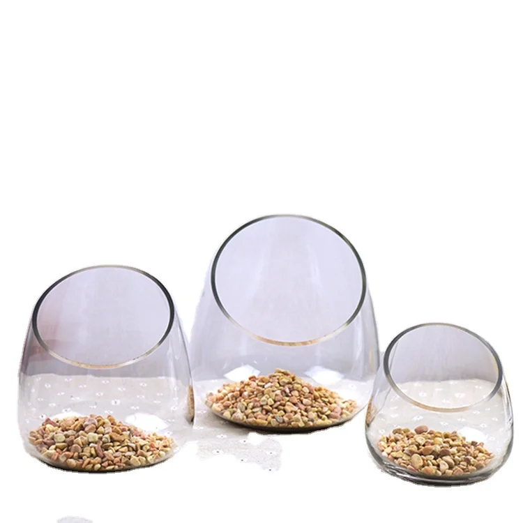 Oblique micro landscape decoration vase Succulent plant vase Moss micro landscape glass flower container