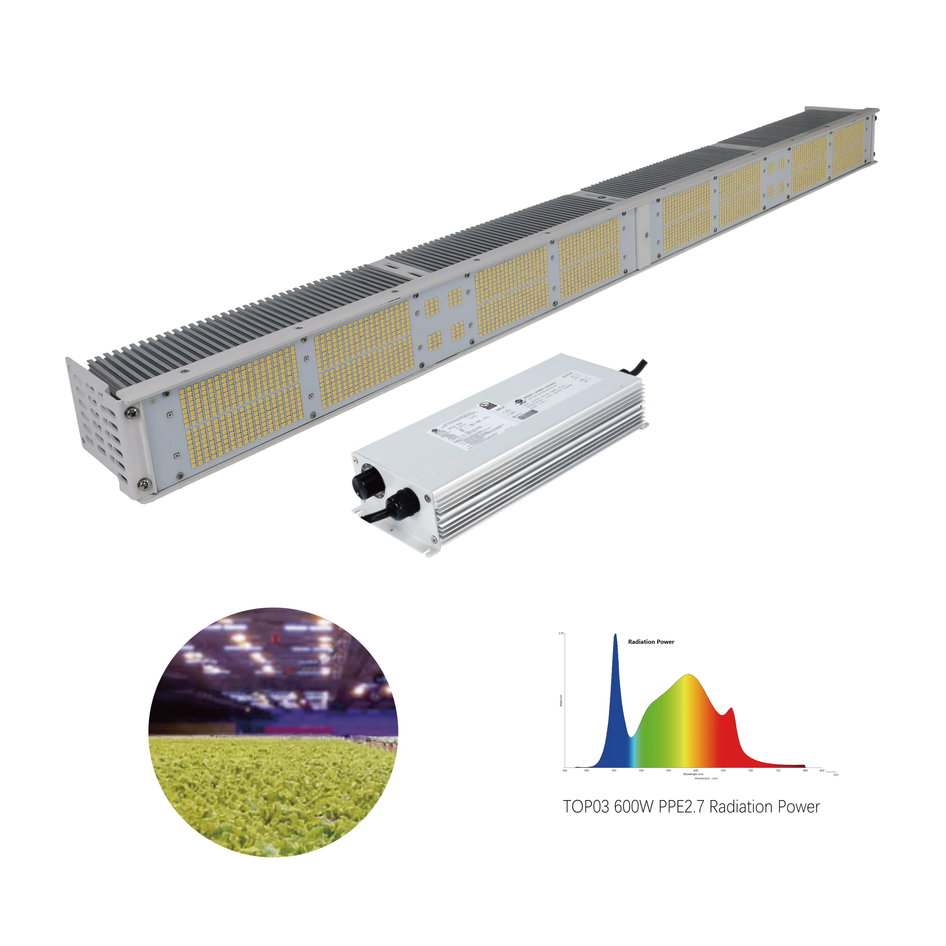 2023 New Design 2.7 Umol/J  Full spectrum Wholesale 600w 300w Plant  Led Grow Light Bar For  Indoor Plants