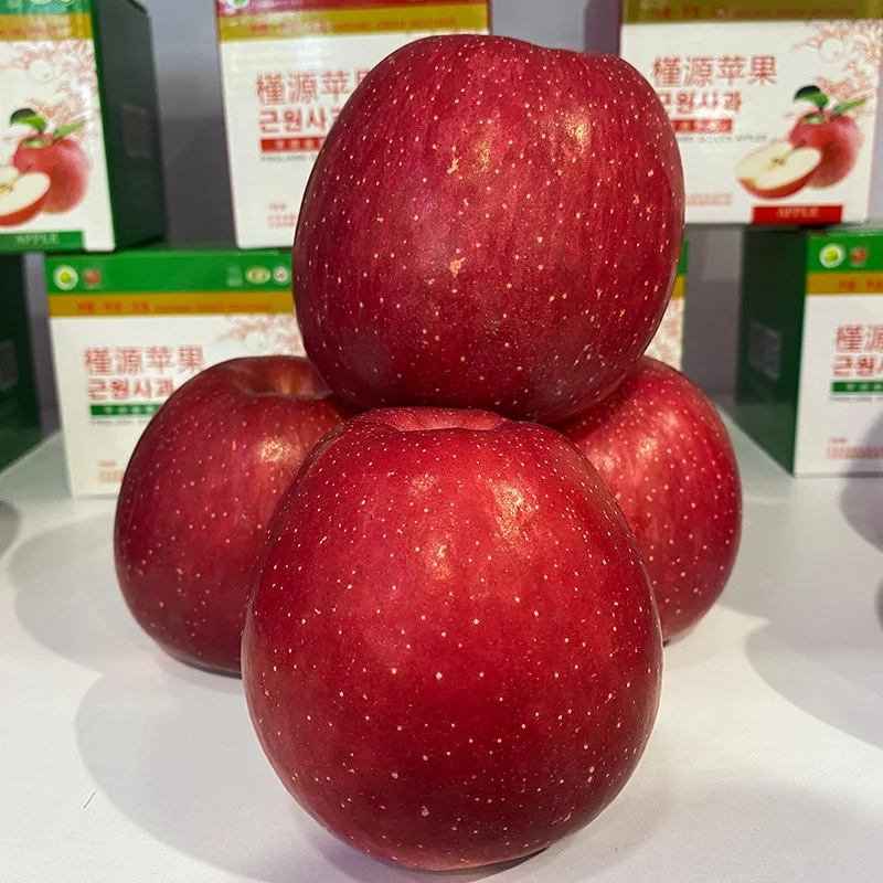 Royal Gala Apple/Fresh Fruit / New Crop Of Fresh Red Fuji Apple