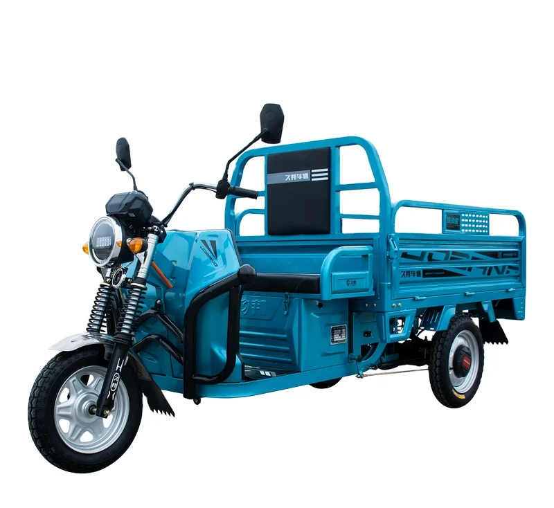 Electric Tricycles Parts 60V 1000W Tricycle