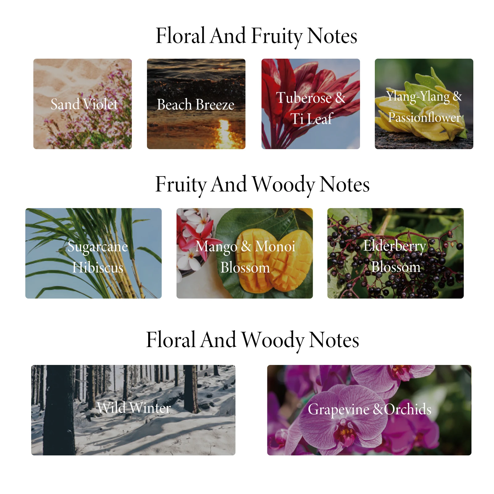 Home scent 110ml HARVEST GRAINS  & AUTUMN FRUITS reed diffuser sticks Oil Reed Diffuser