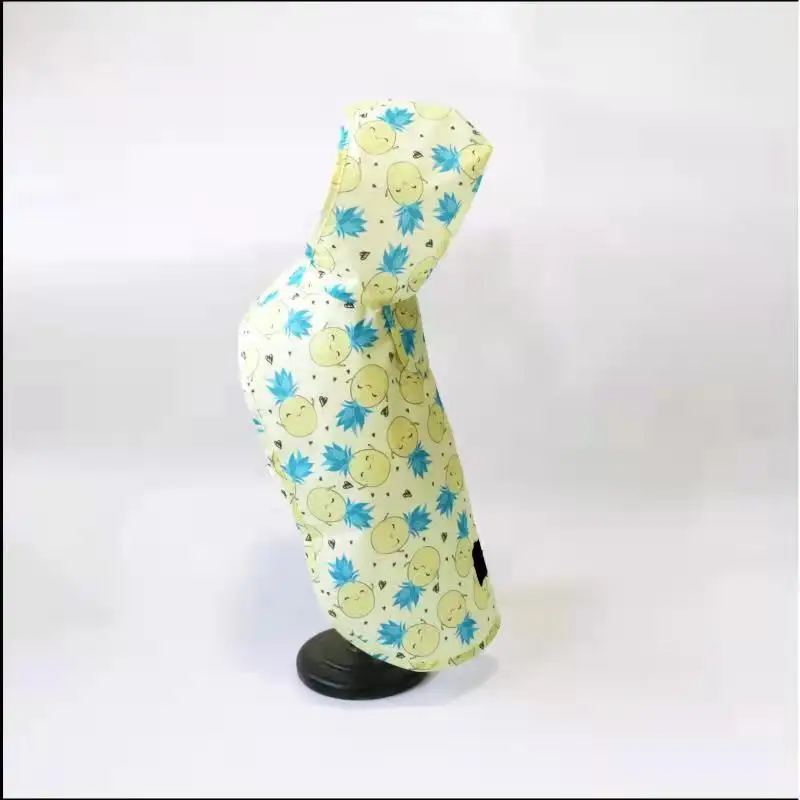 High quality and durable Wholesale Factory Manufacturer Pet Rain Coat for travelling