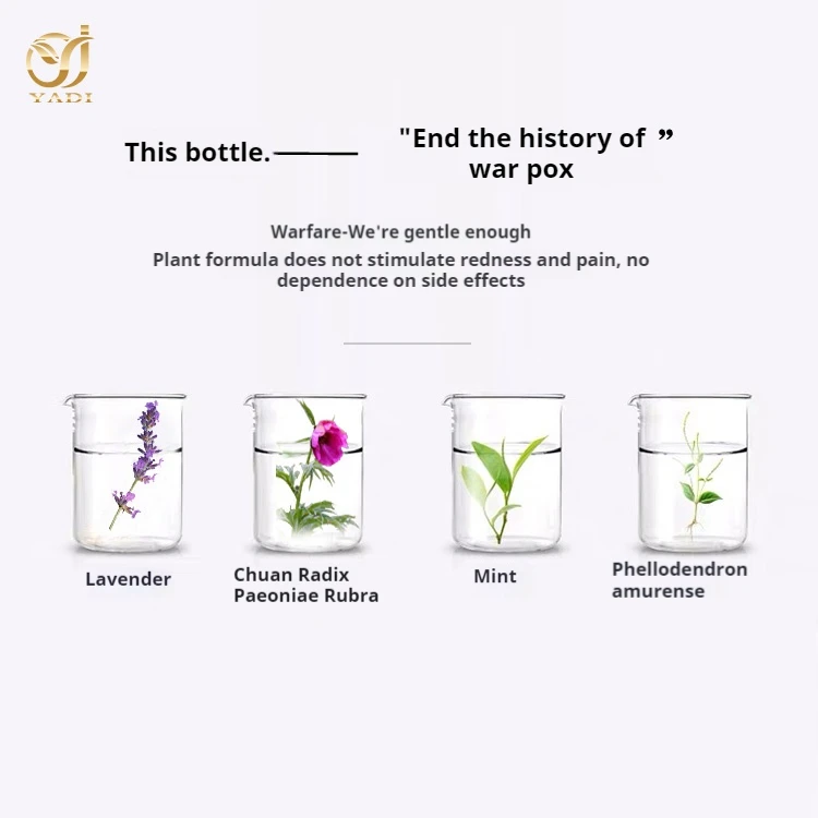 China custom private label Mint panthenol Azelaic acid Remover Blackhead anti-acne beauty serum face kit home lady