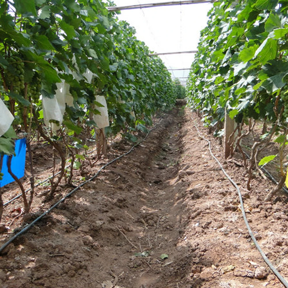 I drop 0.18mm dripline with flat dripper