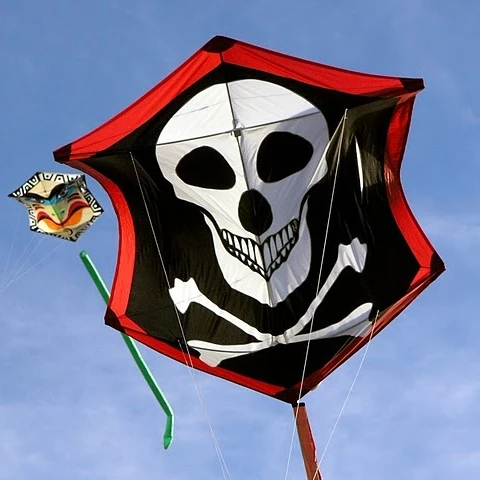 Fighter Rokkaku kite from Weifang Kaixuan Kite factory