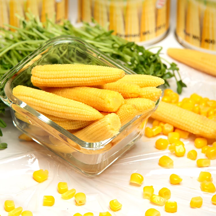 Factory price canned baby corn canned vegetable