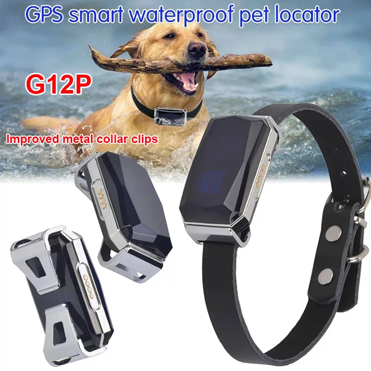 G12P AD.jpg