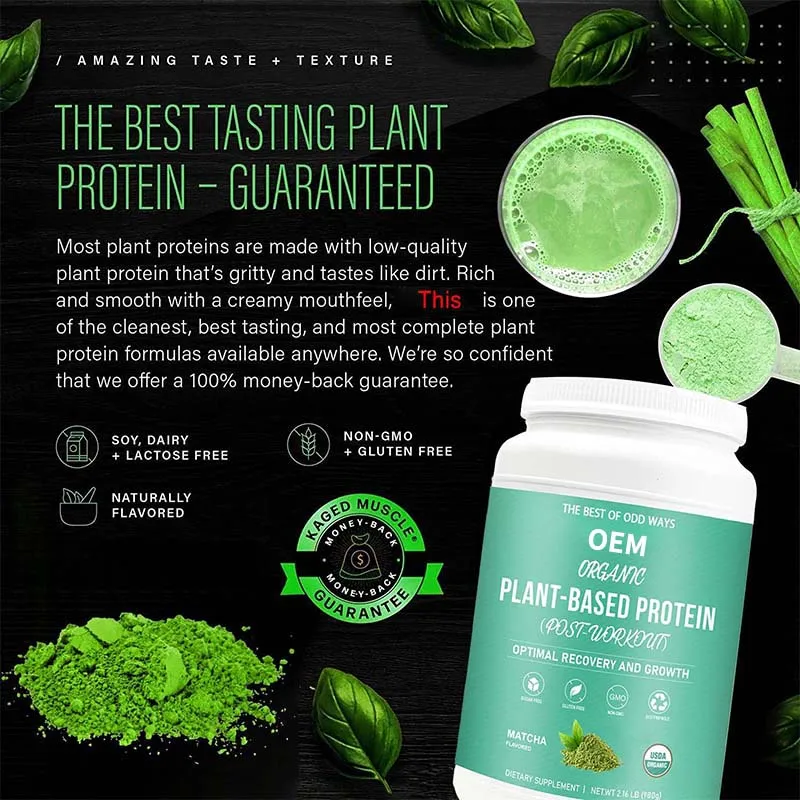 OEM Organic Vegan Protein Powder - 21g Plant Based Protein Powder for Women and Men Clean Protein Source