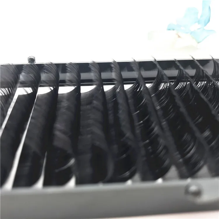 Velvet LASH Extensions Lash Fans Auto Flowering Volume Easy Fanning Lashes Easy Fan Cashmere Eyelash extension trays