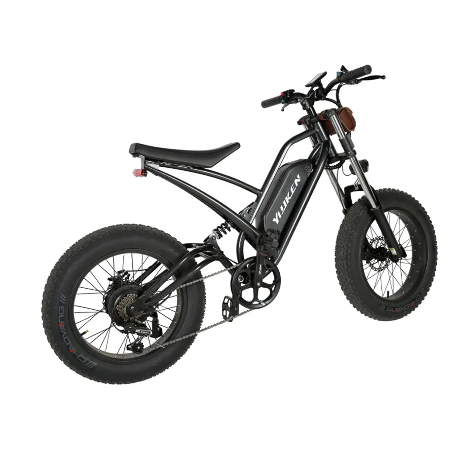 Склад ЕС 20 дюймов 750W 48V 2 колеса с толстыми покрышками складной электрический велосипед горный фара для электровелосипеда