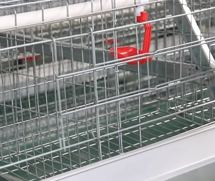 2022 fully automatic meat chicken cage for sell