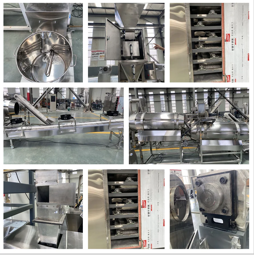 Efficient fish feed Twin screw extruder fish food making machine fish feed equipment