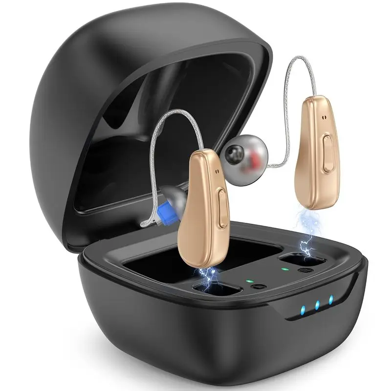 Rechargeable Hearing Aid Home Care Elderly Hearing Amplifier Digital Recorde Function In-ear Hearing Aid For The Deaf