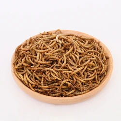 Wholesale Dry Bulk Frozen Top High Protein Dry Mealworms