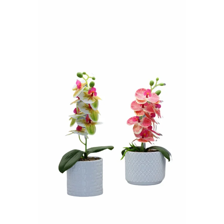 Green Bio Flower 10 Inch Modern White Succulent Ceramic Pot