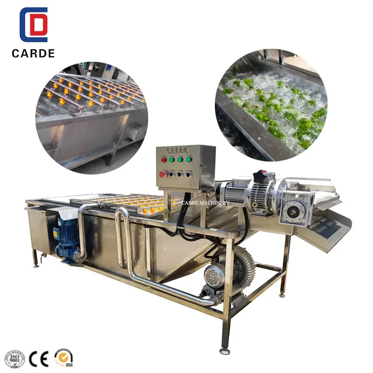 High efficient pumpkin seed food washing machine by air bubble and fruit ozone washer leafy vegetable fruits bubble cleaner