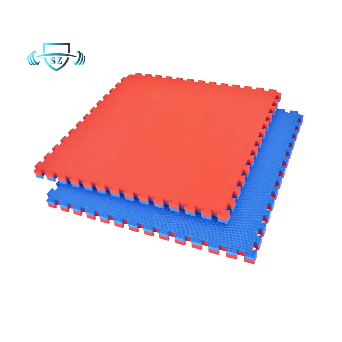 New Design Martial Arts Sparring Mat Eva Floor Art Wrestling Mats Boxing With Low Price