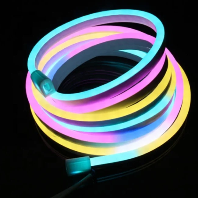 Zhongshan Factory Direct Supply  High Lumen  Remote Control 12V 24V 110V 220V RGB Led Neon Light Flex Rope