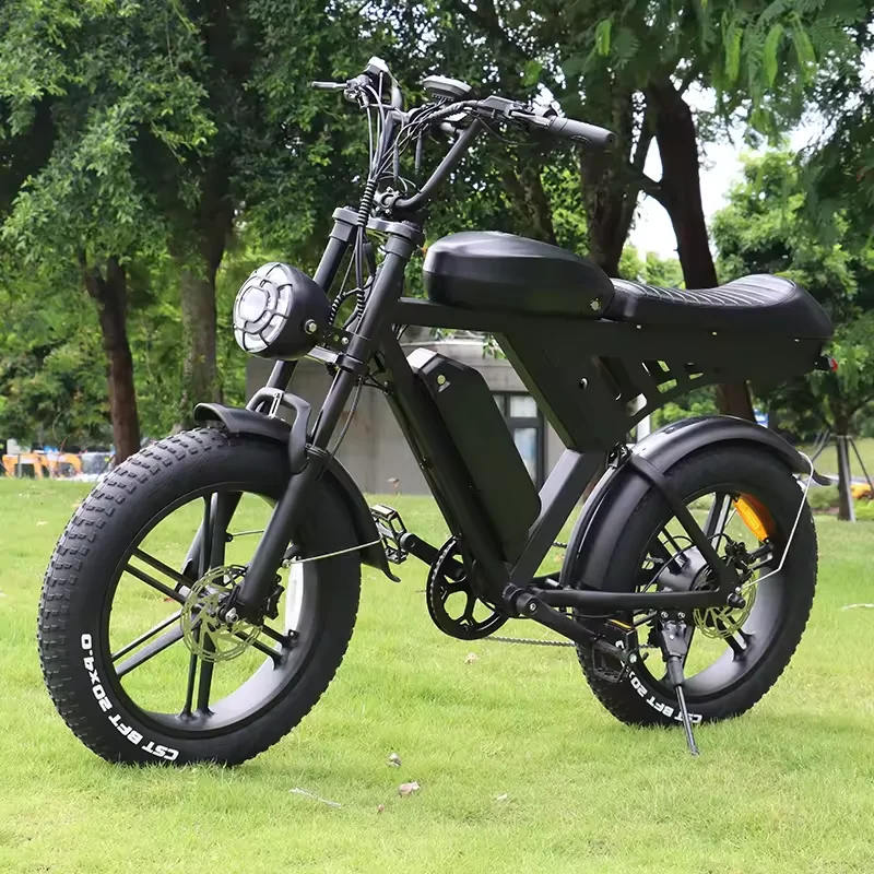 Long Range Fat Tire Hidden Dual Batteries Electric Mountain Bike Bicycle 1000w 48v 15ah Ebike China Manufacturer