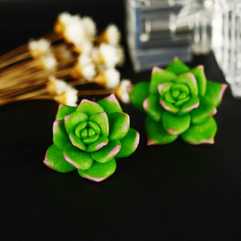 
Wholesale and retail clay earring green succulent real succulent flower earring 