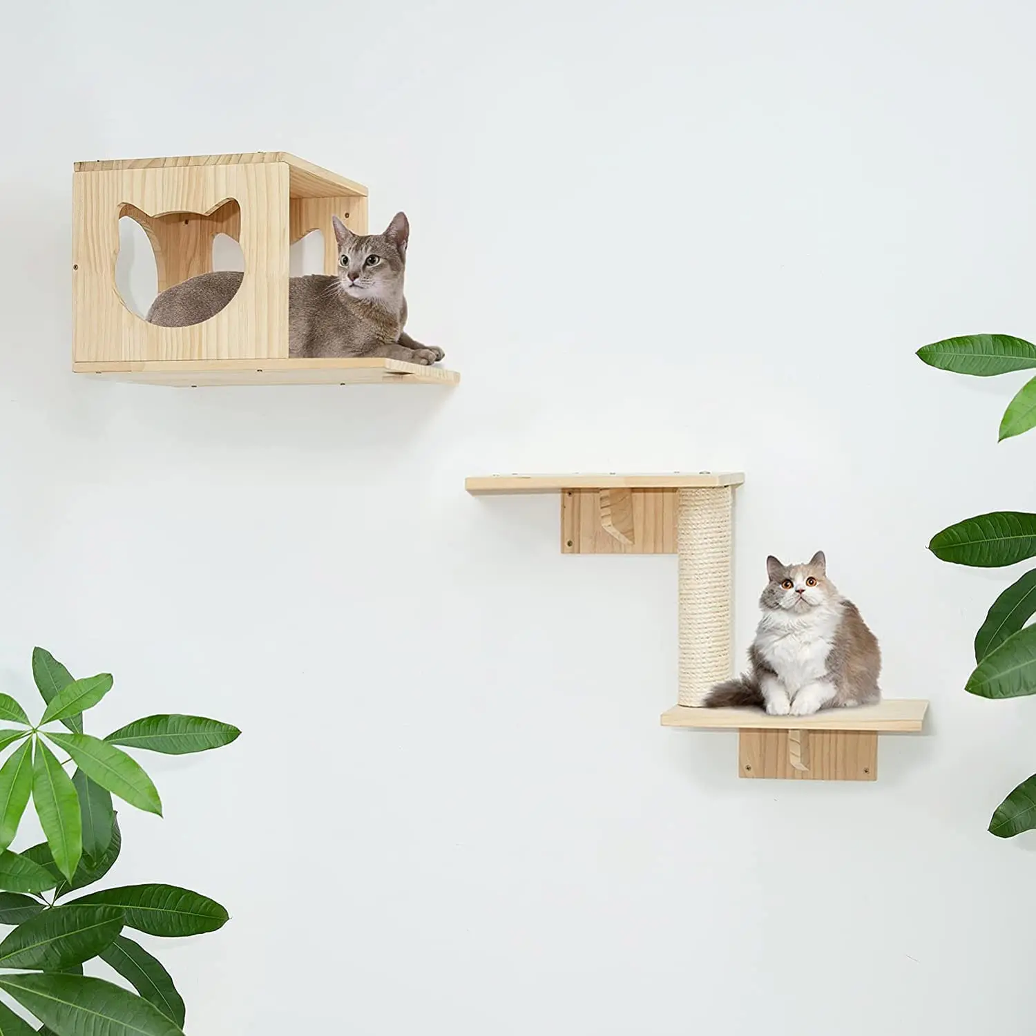 New Design Modern Wood Cat Furniture Tree Cat Climb Track Wall Mounted Shelves