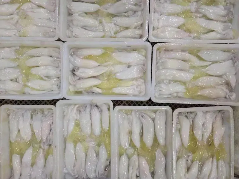 L91 Hot Selling Fresh Illex Squid Eggs Large Squid Eggs
