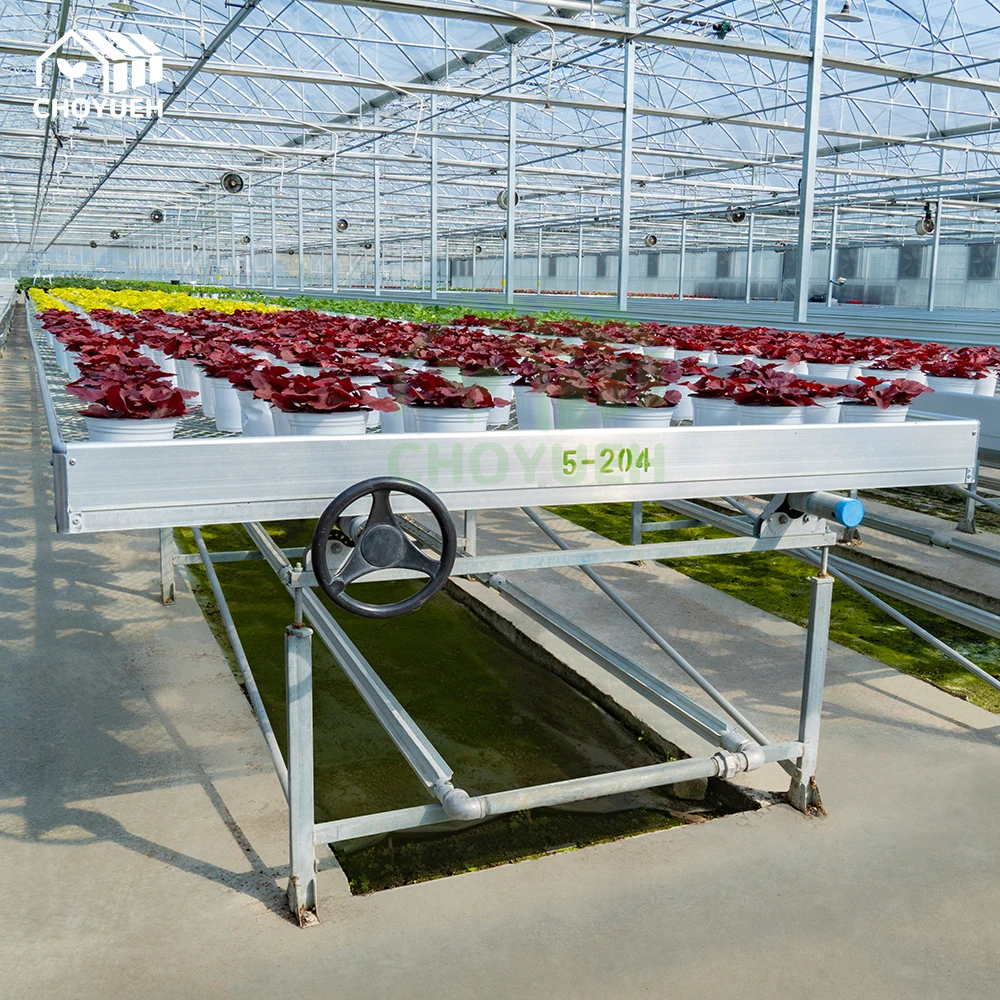 CHOYUEH A innovative solution for enhanced seedling production peanut seedlings the efficient rolling seedbed greenhouse seedbed