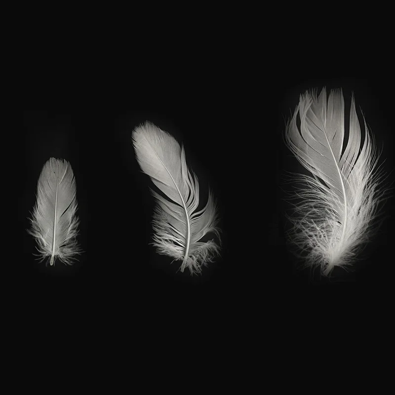 Custom Wholesale Natural White Duck Feather Filling Materials 2-4 Cm