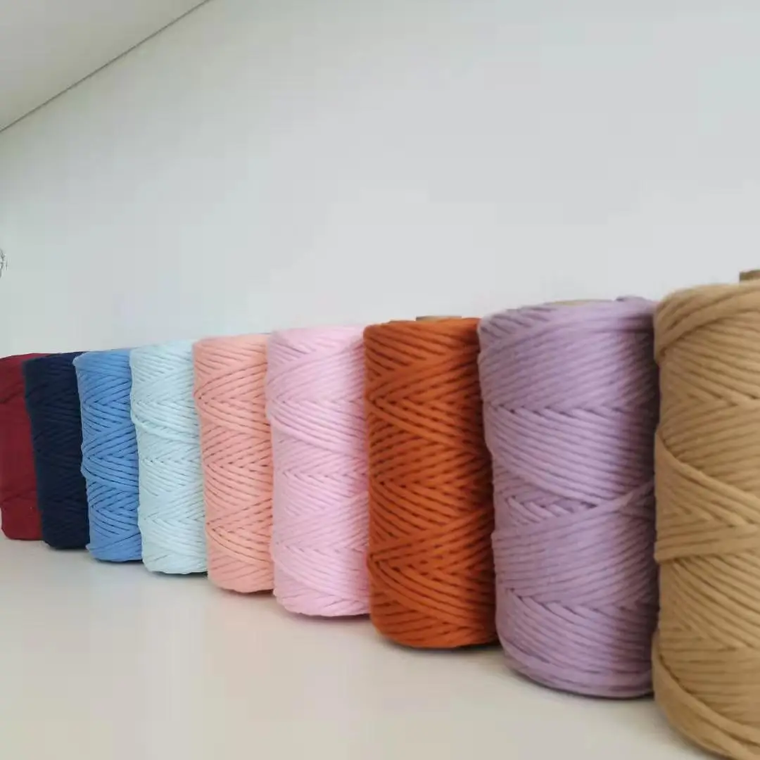
2021 High Quality Multi Colorful Single Strand Twist Cord 100 % Cotton Macrame Ropes 3 MM 