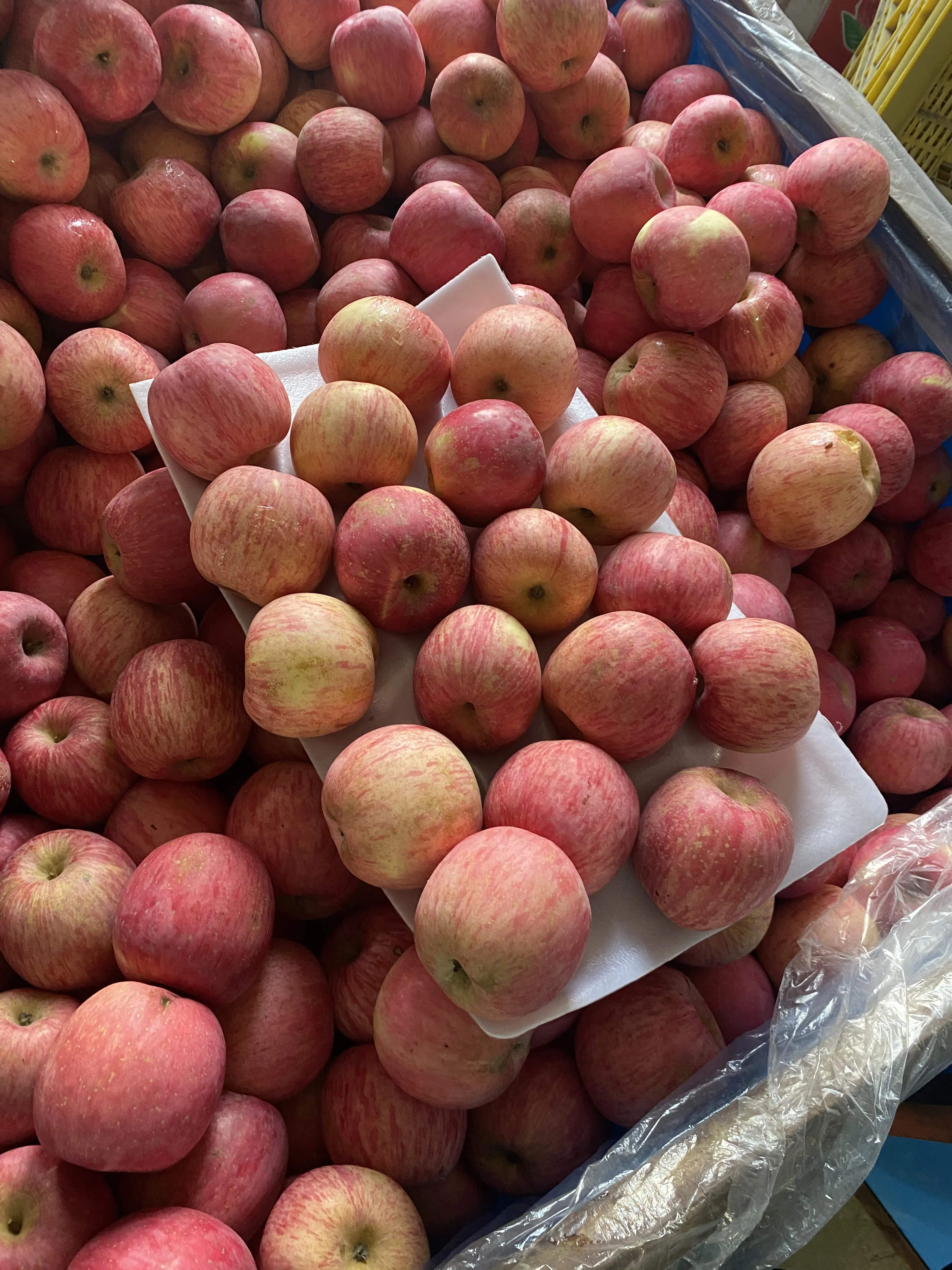 Китайские сладкие свежие яблоки fuji фрукты оптовая цена apple